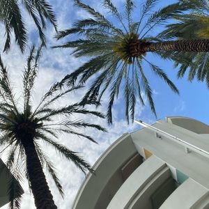 Meet your Posher, Saanya